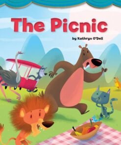 THE PICNIC